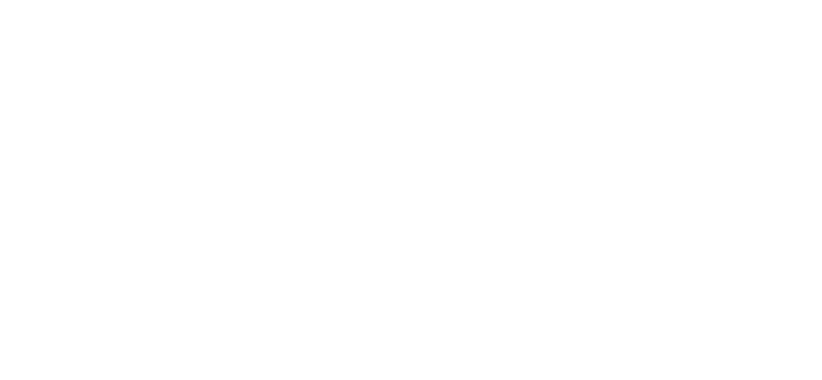 Bodega Ai Logo